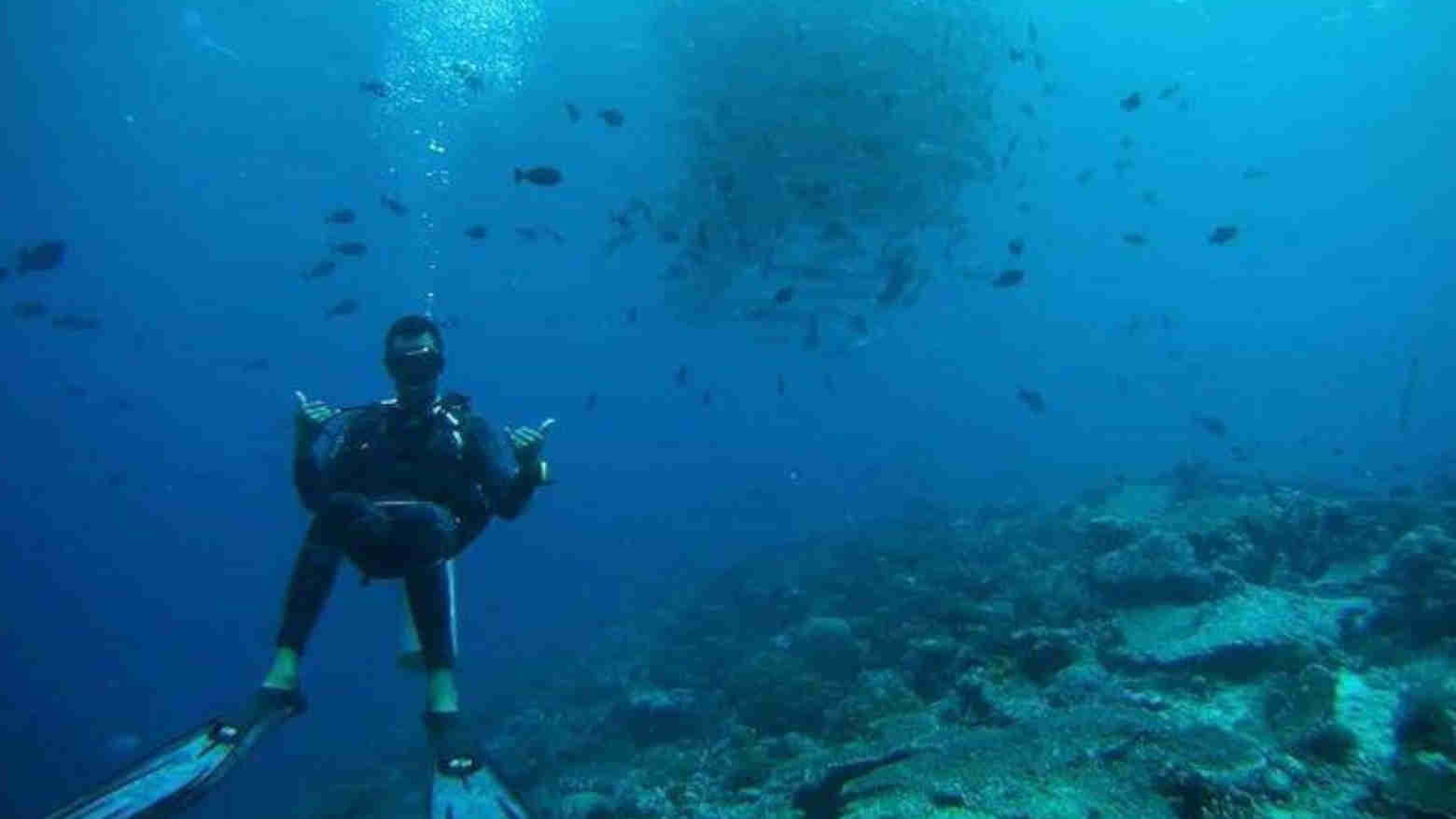 Ini 7 Spot Diving Recommended di Pulau Tomia, Wakatobi