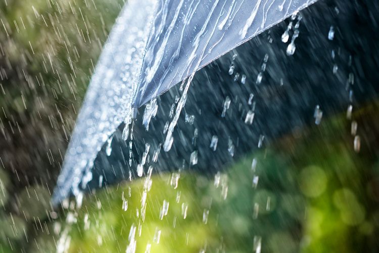 5 Amalan yang Disunnahkan Ketika Hujan