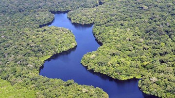Sungai Amazon, Sungai Terpanjang Kedua di Dunia dan Melintasi 6 Negara
