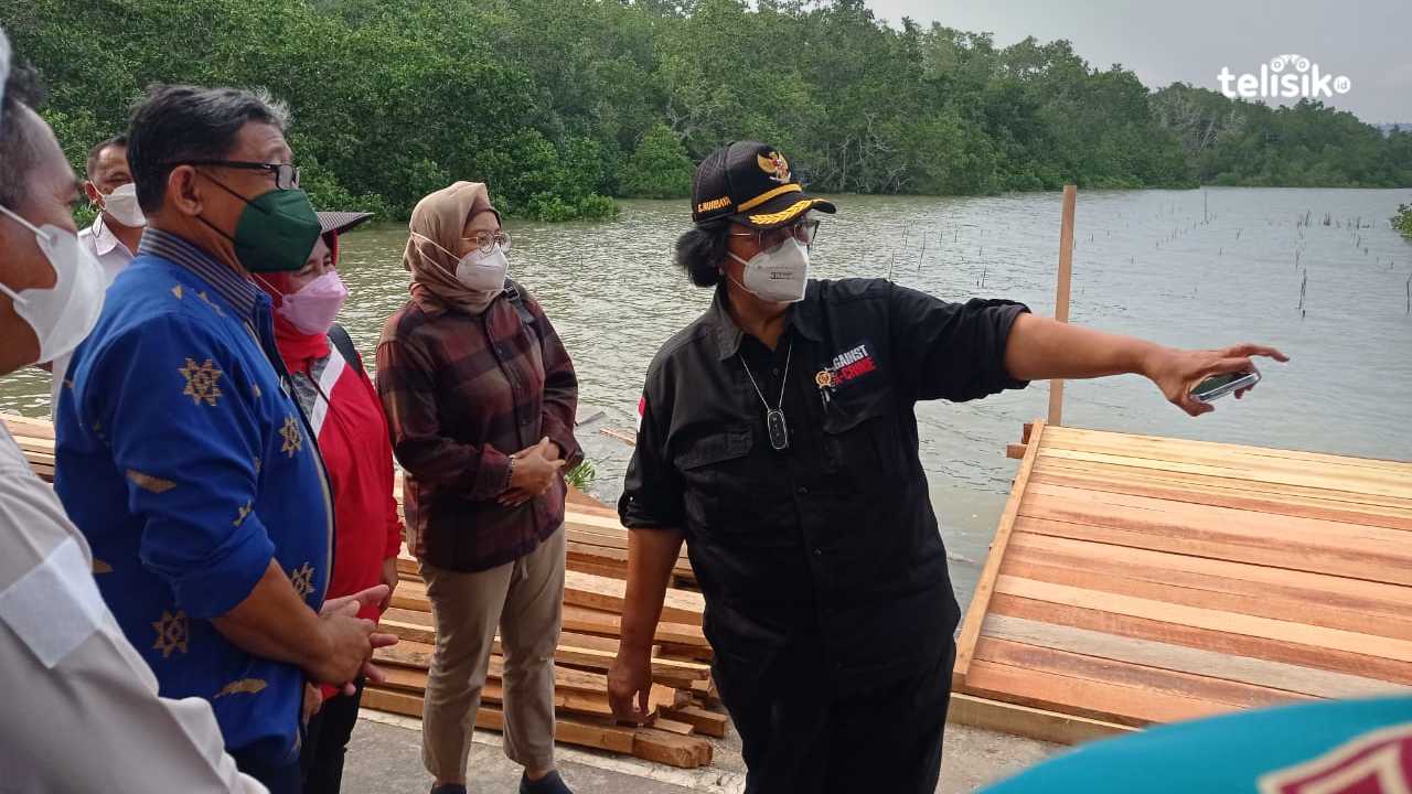 Menteri Lingkungan Hidup Tinjau Kesiapan Penanam Mangrove Jelang HPN