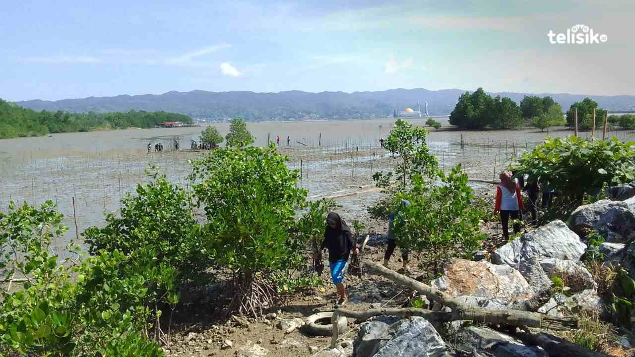 Penanaman Puluhan Ribu Mangrove di Hari Pers Nasional
