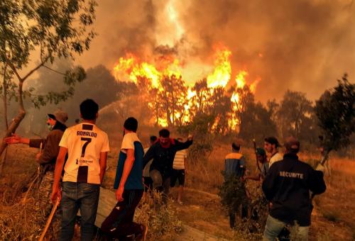 Dishut Sultra: 633,080 Hektare Hutan Terbakar Tahun 2021, Bombana Tertinggi