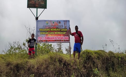 Upaya Polhut Sulawesi Tenggara Cegah Illegal Logging