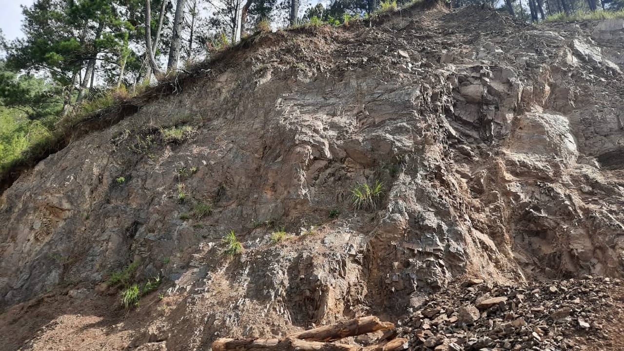 Dugaan Pengrusakan Hutan di Samosir Sumatera Utara, Ketua DPRD Panggil Dinas Kehutanan