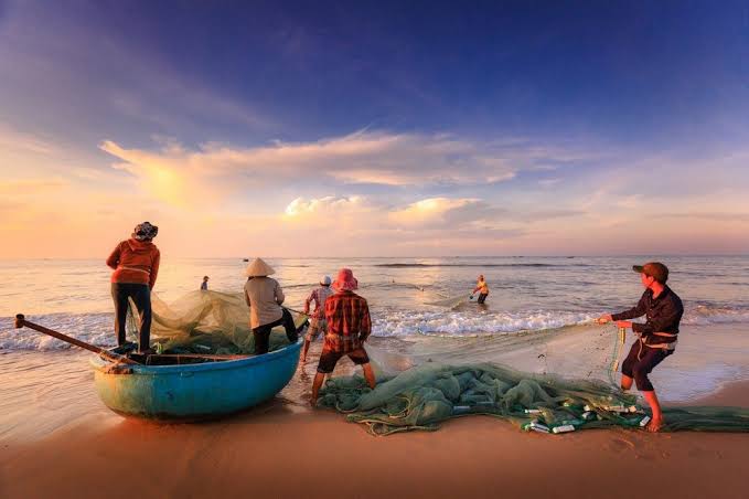 Nelayan Dilarang Tangkap Ikan Oktober Mendatang, Ini Sebabnya