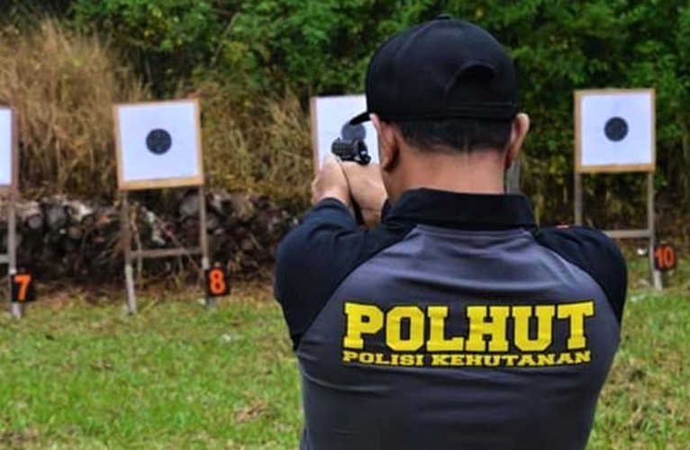 Jumlah Personel Polhut di Sulawesi Tenggara Sangat Minim