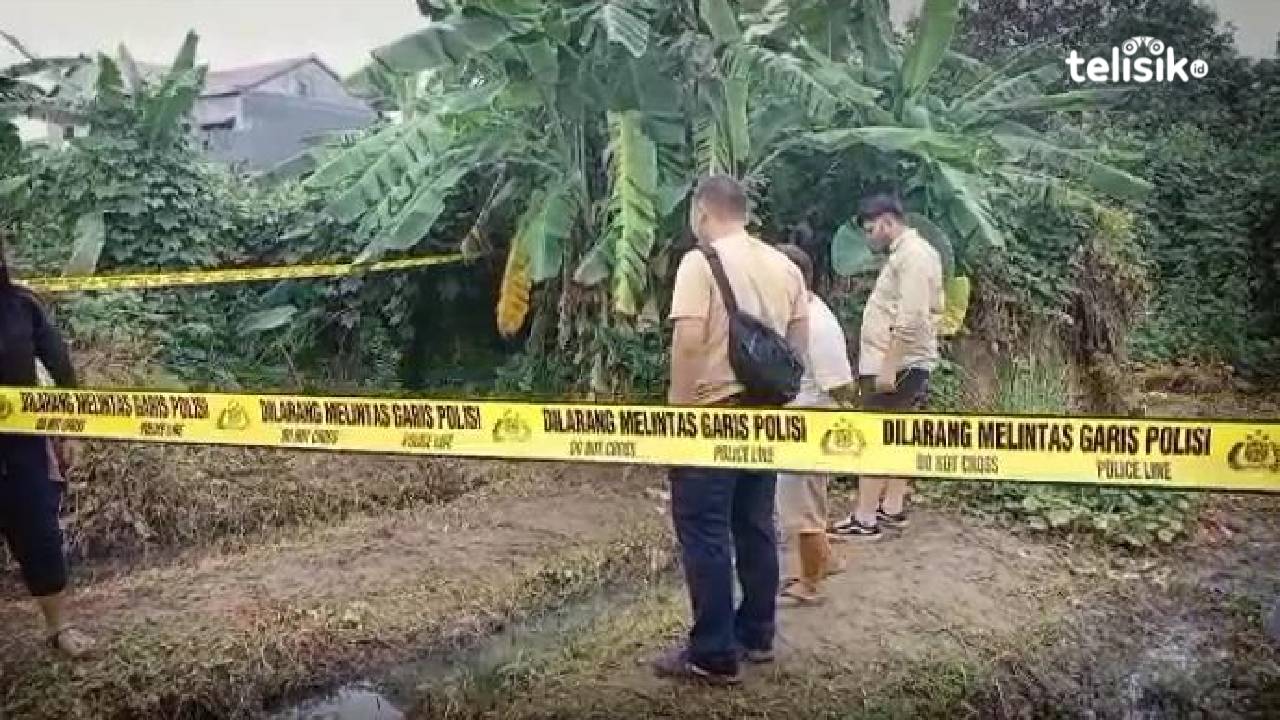 Mayat Pria Tanpa Identitas Ditemukan Telungkup di Balik Pohon Perkebunan PTPN IV