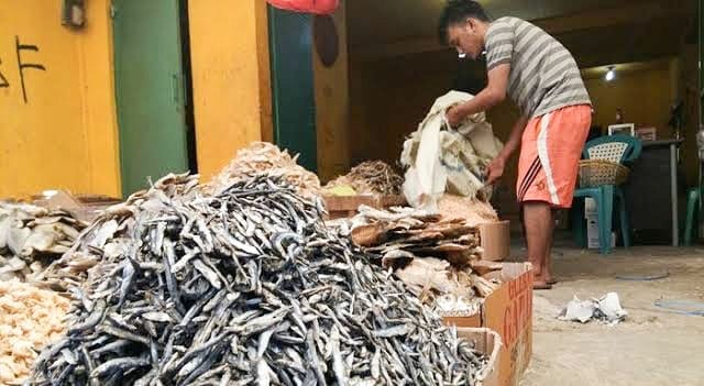 Ikan Teri Salah Satu Penyebab Sulawesi Tenggara Alami Inflasi
