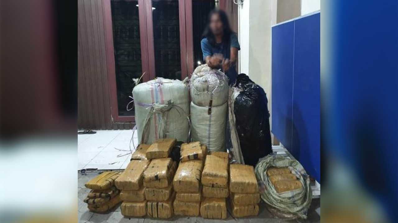 Pemuda Gondrong Bawa 200 Kg Ganja dalam Karung Ditangkap