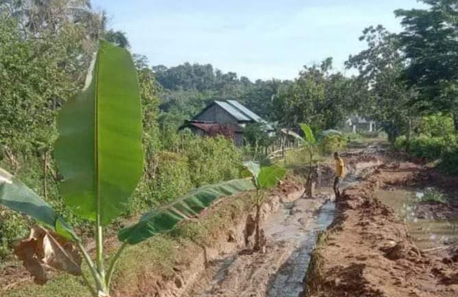 Tak Diperhatikan Gubernur, Warga Reok Barat Tanam Pohon Pisang di Jalan Provinsi
