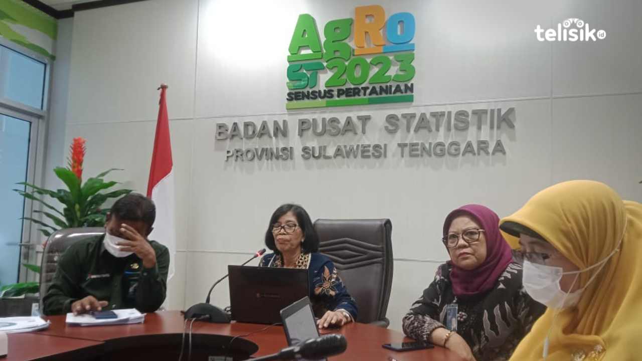 Transportasi jadi Kelompok Pengeluaran Penyumbang Inflasi Terbesar Sulawesi Tenggara