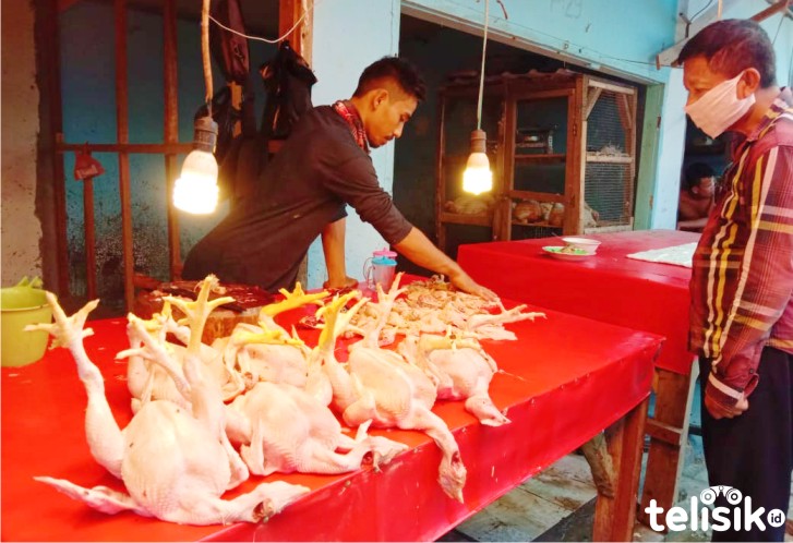 Harga Ayam Potong di Pasar Kendari Merangkak Naik