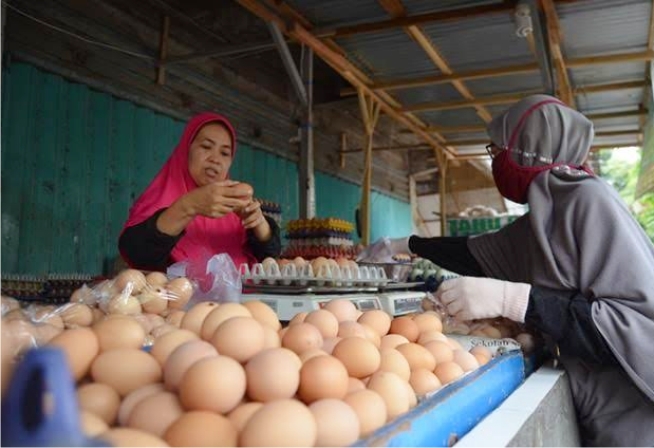 Dilarang Dijual, Telur Infertil Masih Beredar di Pasar