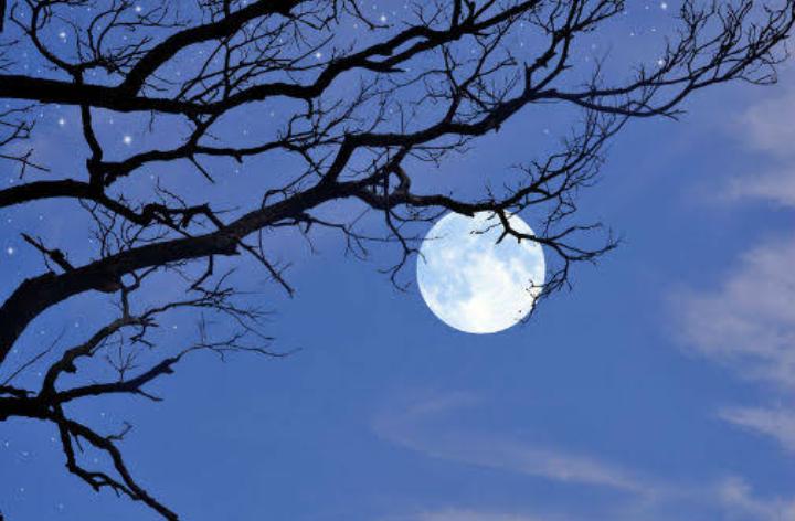 Fenomena Blue Moon Muncul Malam Ini