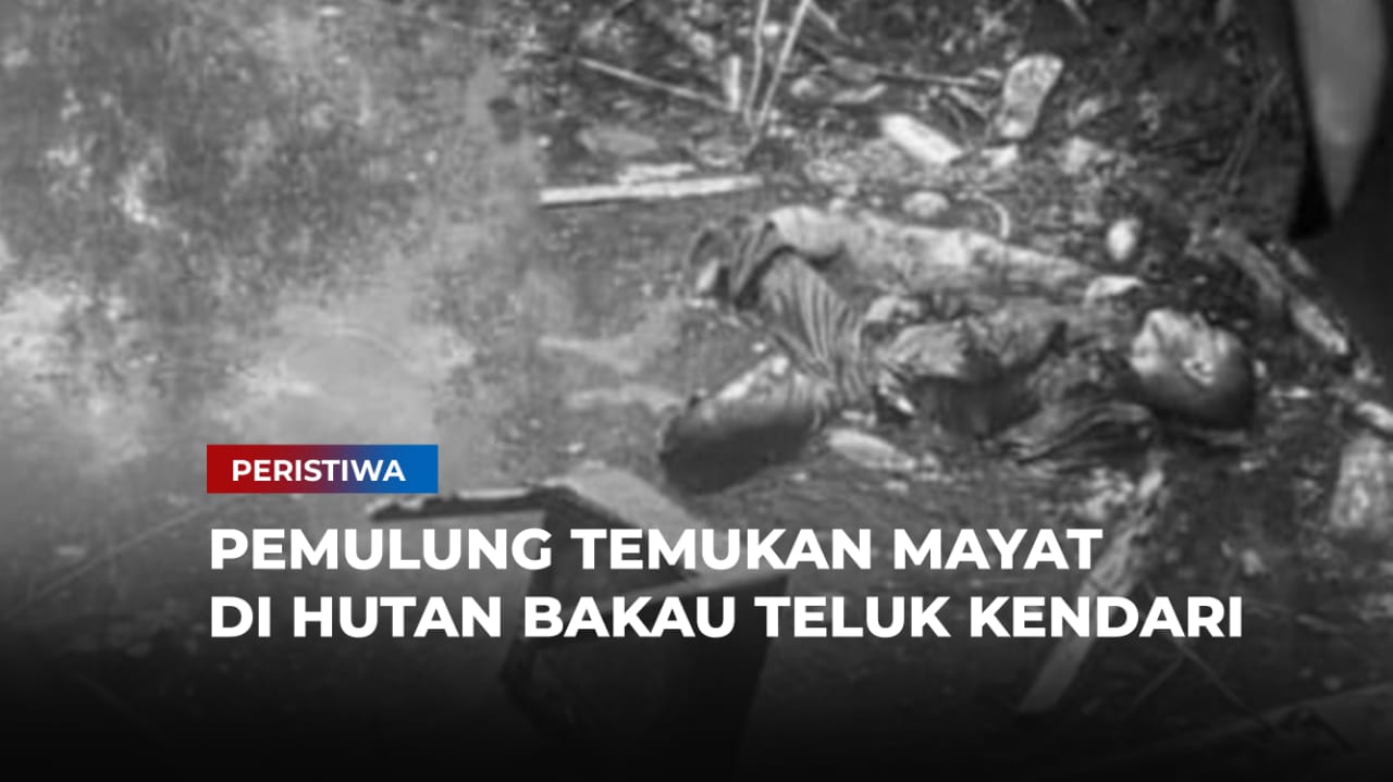 Video: Pemulung Temukan Mayat di Hutan Bakau Teluk Kendari