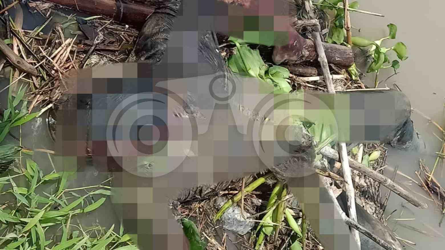 Lima Hari Hilang, Mayat Pria Ditemukan Membusuk di Sungai