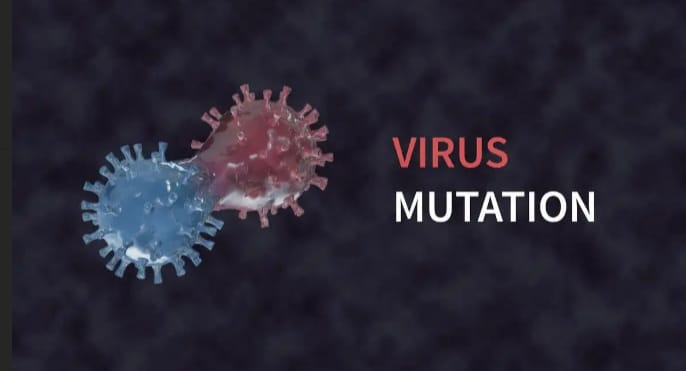 Dua Warga Karawang Terpapar Virus Corona Mutasi Baru B117