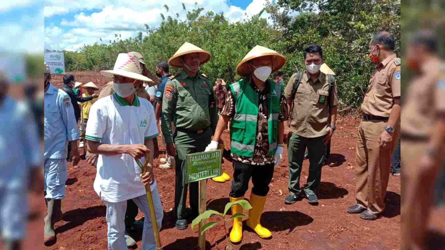 Hutan Lindung Bisa Dimanfaatkan dengan Catatan Pohon  Tidak 