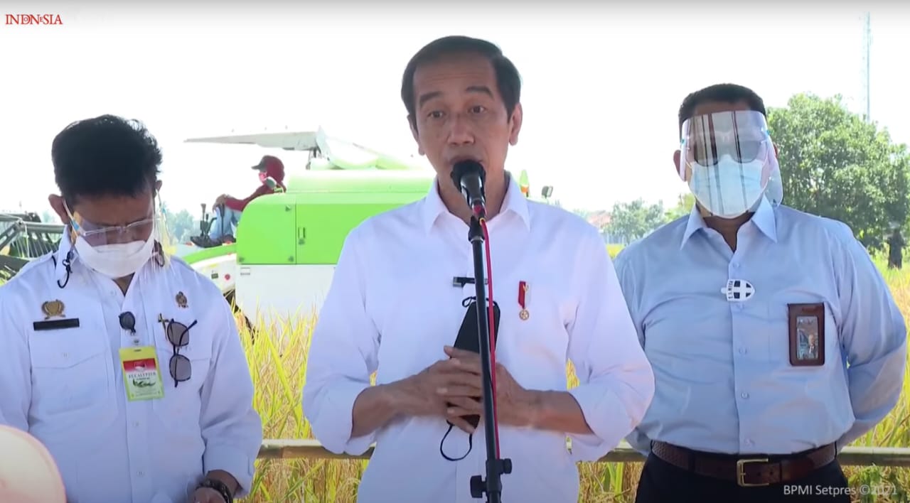 Tinjau Panen Raya di Indramayu, Ini Keluhan Petani ke Jokowi