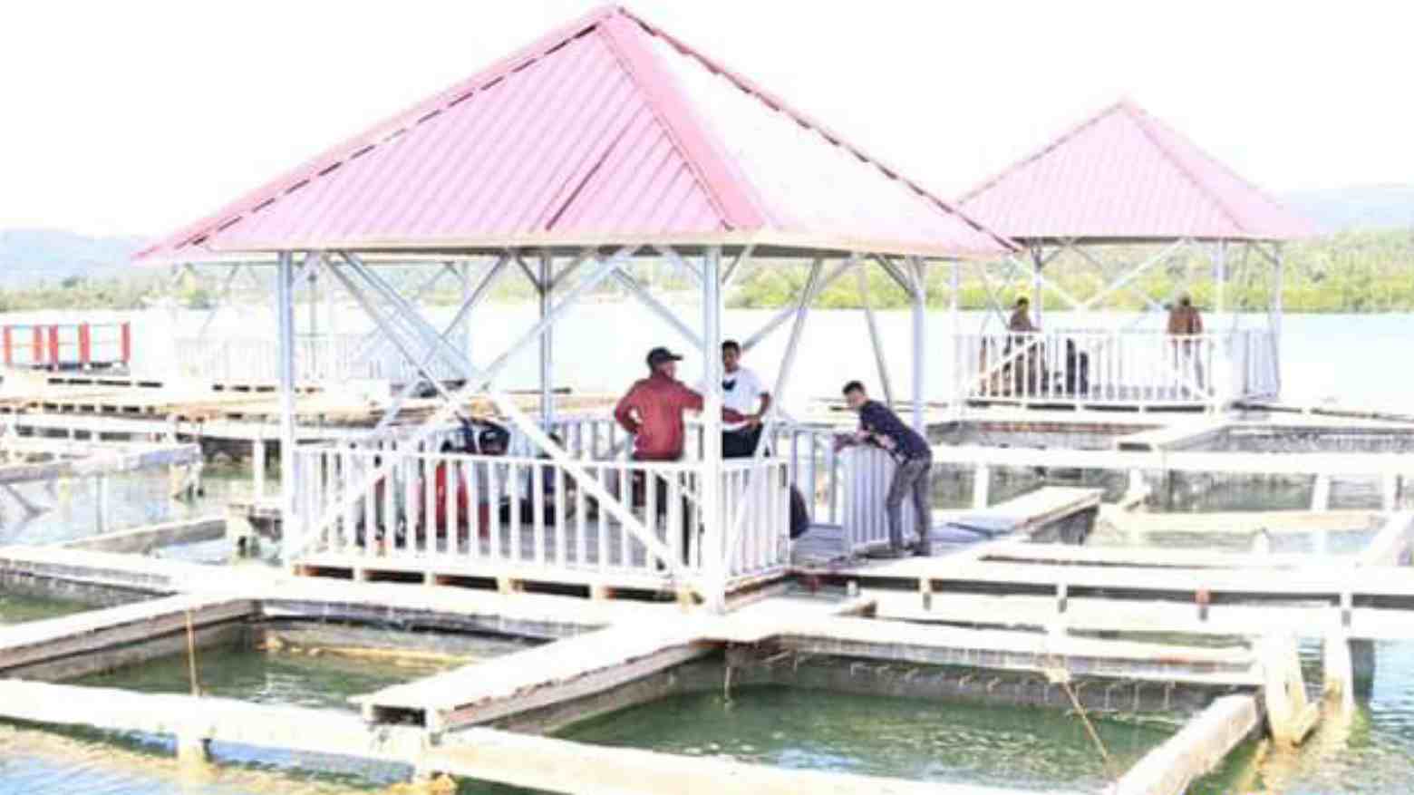 Karamba Direlokasi, Masyarakat Keluhkan Ikannya Mati
