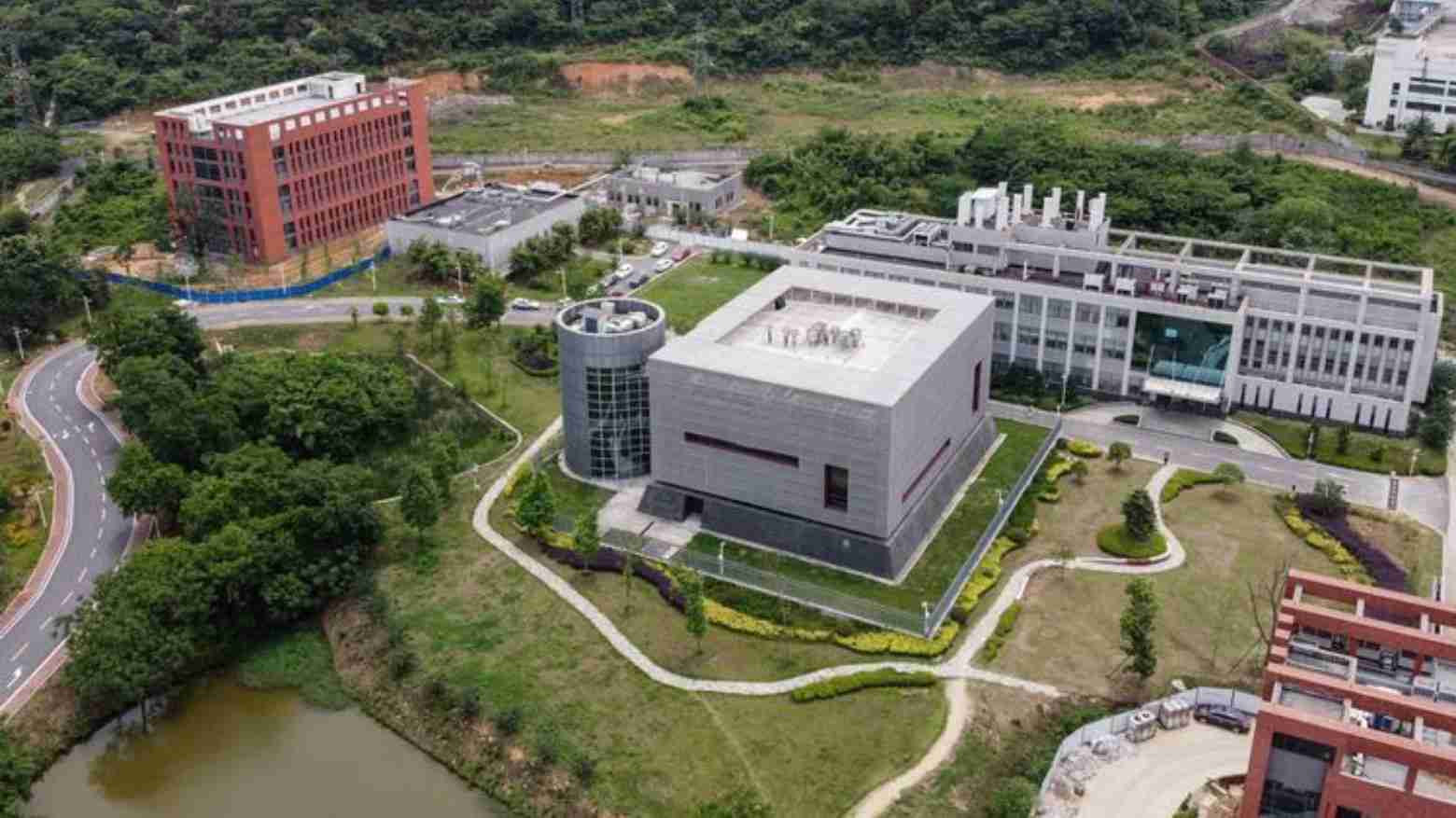 Panas, COVID-19 Disebut Sengaja Dikembangkan di Lab Wuhan dan Didanai Amerika