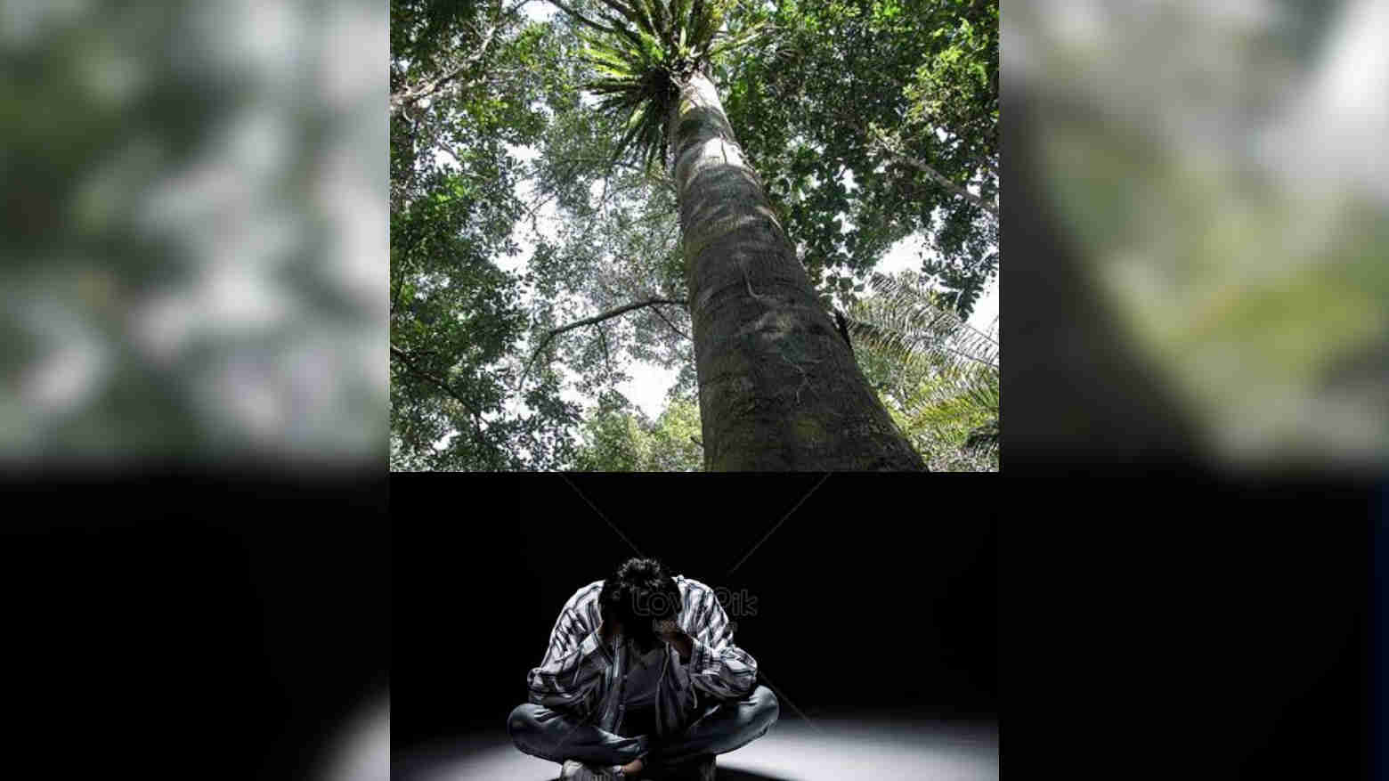 3 Bulan Tak Direspon Sang Gebetan, Pemuda Ini Nyaris Akhiri Hidup dengan Melompat dari Atas Pohon