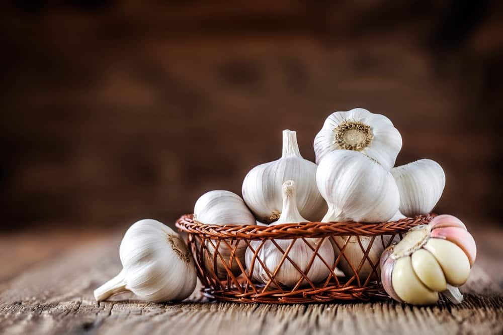 The Amazing Benefits of Garlic for Health