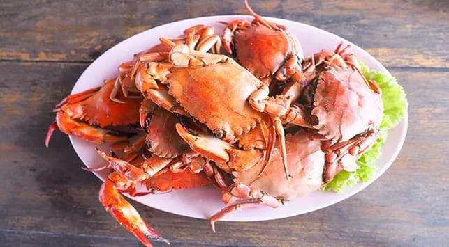 Cara Sehat Konsumsi Kepiting Tanpa Khawatir Kolesterol