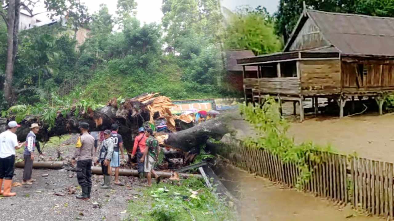 Dua Desa di Kabaena Terendam Banjir, di Tempat Lain Pohon Tumbang Tutupi Jalan Raya