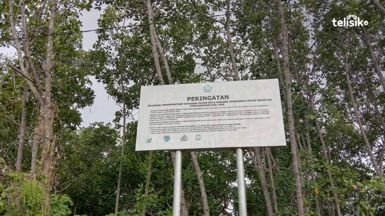 Dinas PUPR Diminta Tersangkakan 17 Pelaku Usaha Kawasan Mangrove, Kadis: Masih Terindikasi