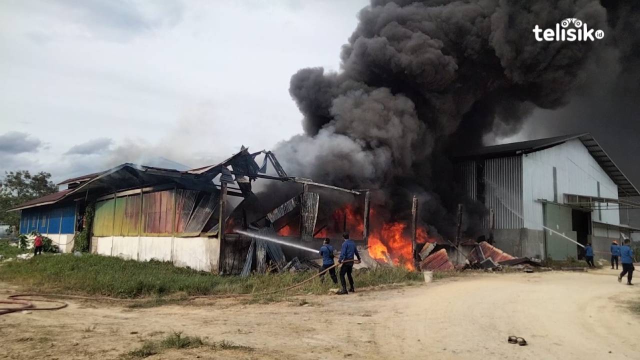 Gudang PT Niaga Prima Nusantara di Anduonohu Kendari Terbakar