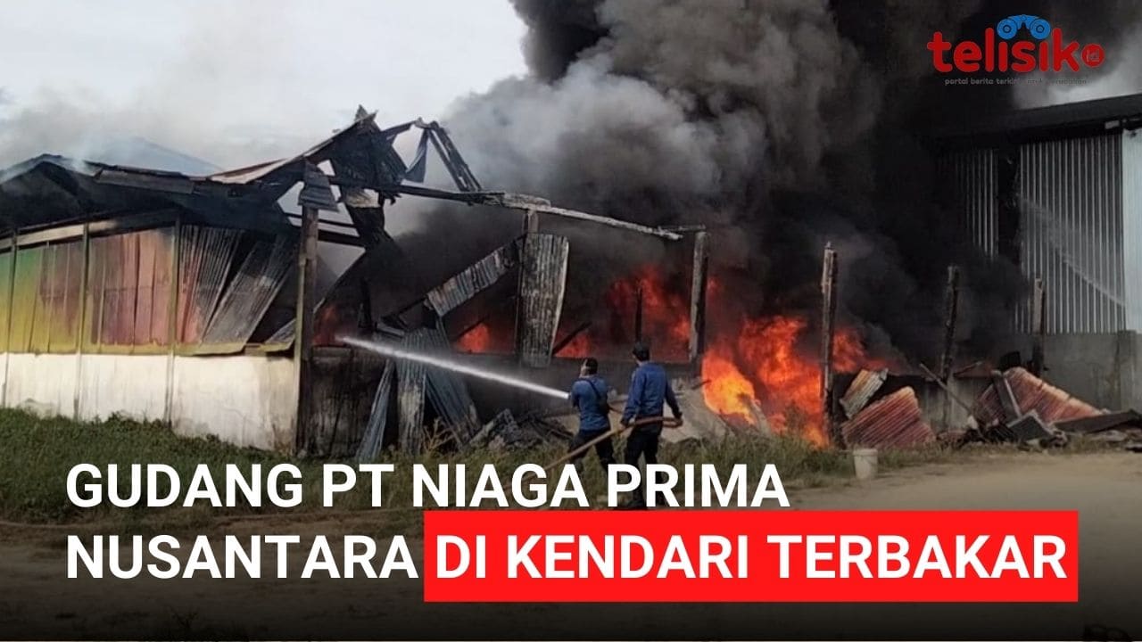 Video: Gudang PT Niaga Prima Nusantara di Kendari Terbakar