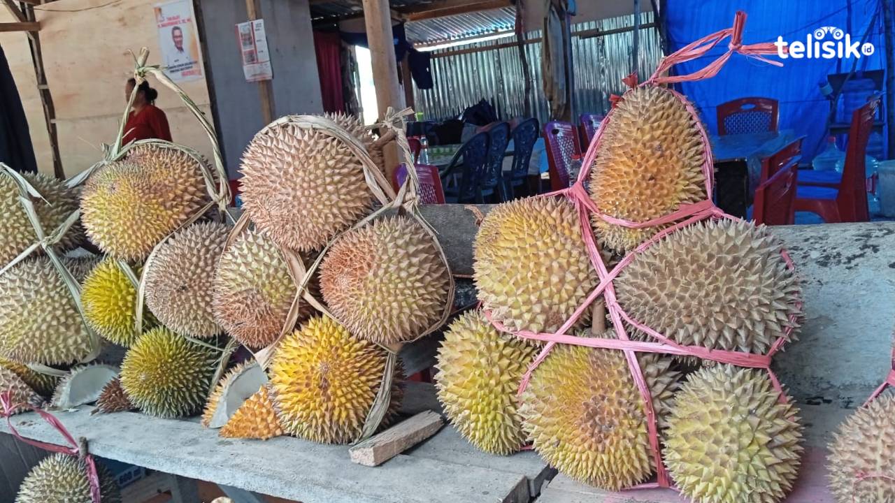 Berburu Lezatnya Durian Khas Sulawesi di Kendari