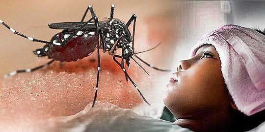 Di NTT, Partisipasi Masyarakat Cegah DBD Masih Rendah