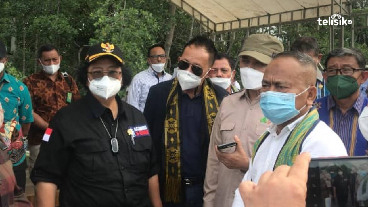 Hendak Disambangi Jokowi, Menteri LHK Tinjau Dua Lokasi di Sultra