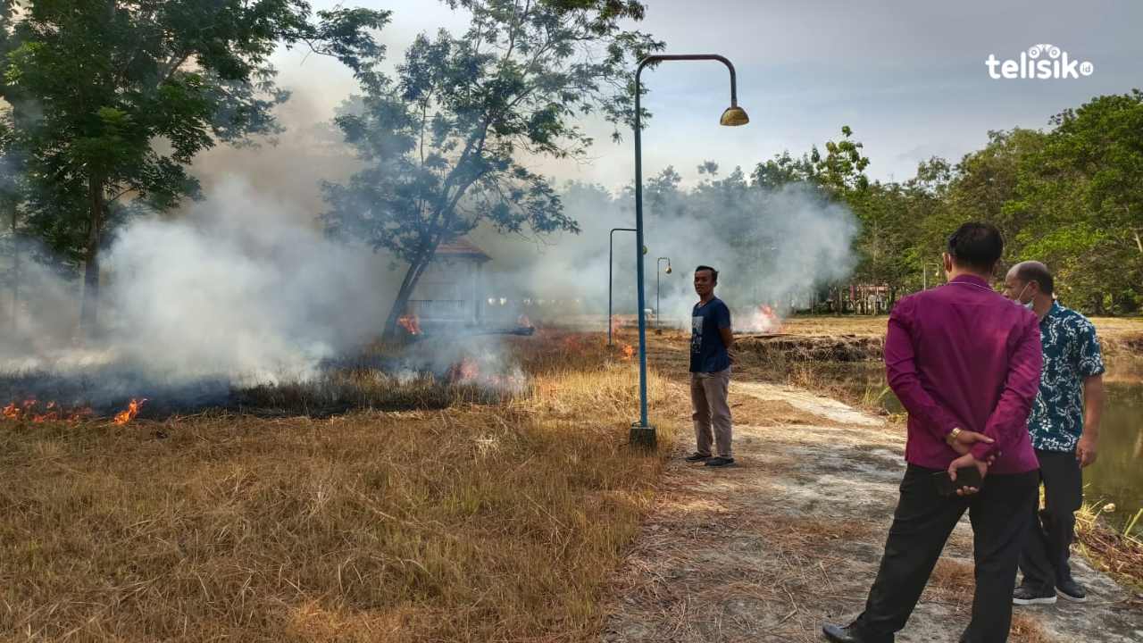 Menteri Pertanian Bakal Kunker ke Konawe, Ini Agendanya