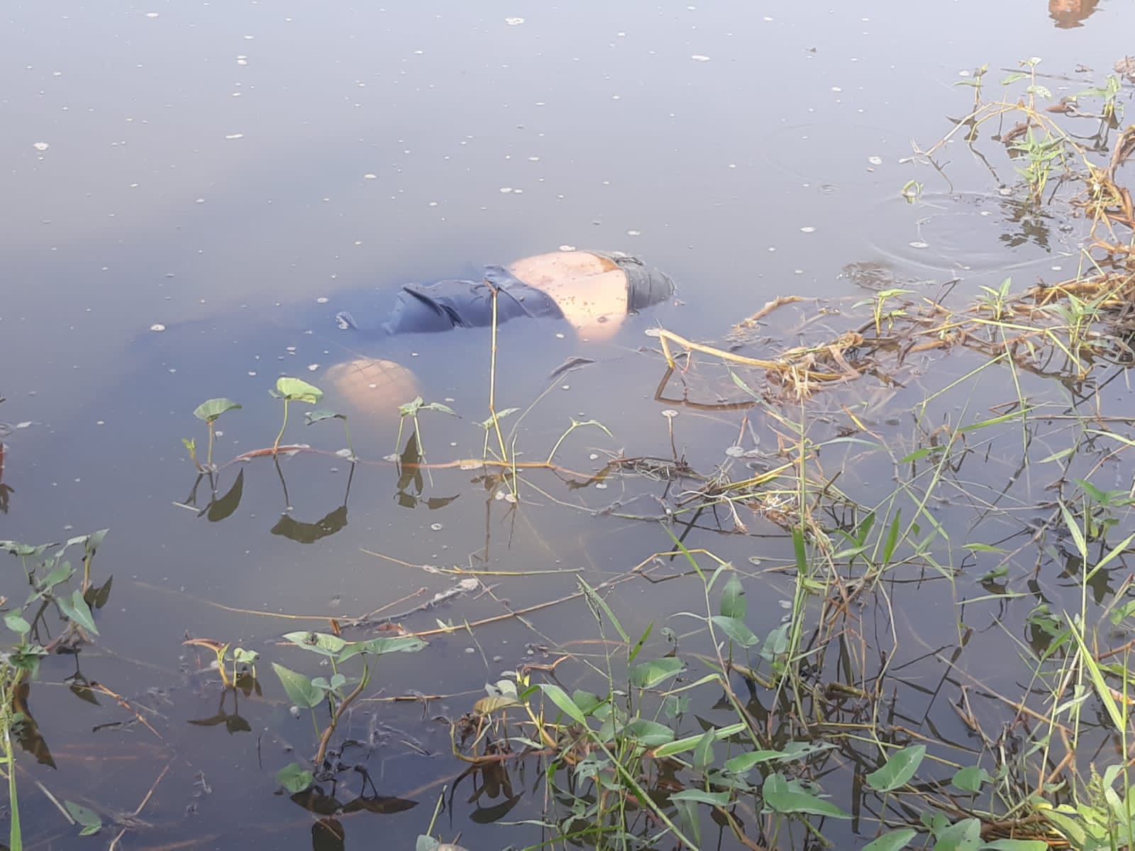 Polisi Belum Simpulkan Wanita Mengapung di Sawah Tewas Dibunuh