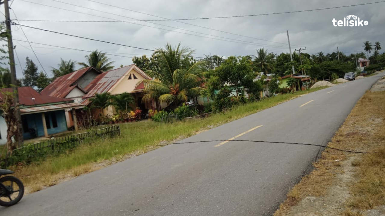 Terkait Truk, Kabel Listrik Jatuh dan Melintang di Jalan Umum