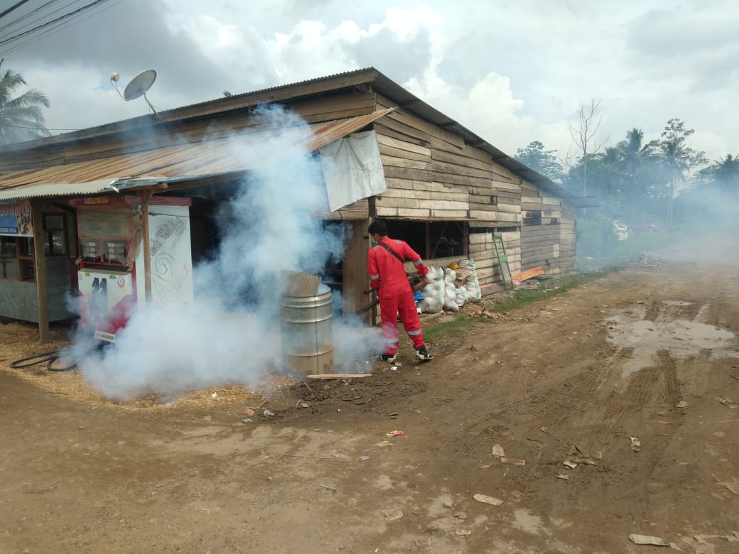 Awal Tahun 2022, Konawe  Catat Sepuluh Kasus DBD