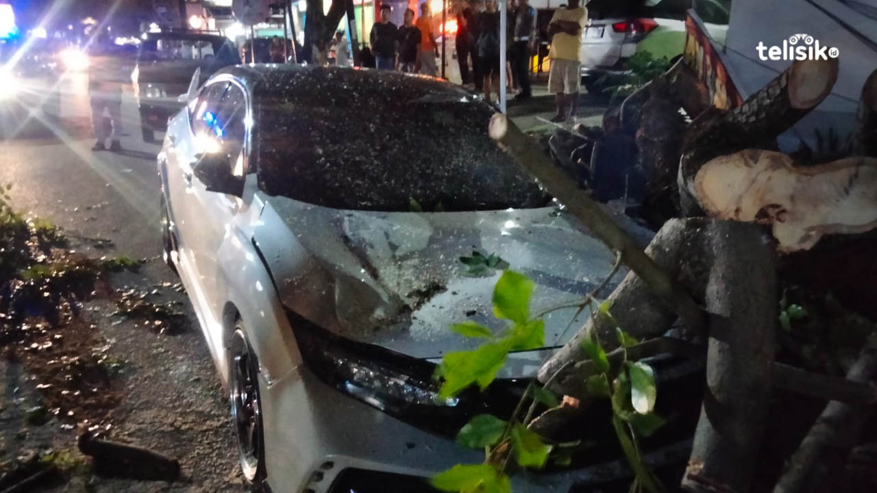 Sebuah Mobil Mewah di Kendari Tertimpa Pohon Tumbang