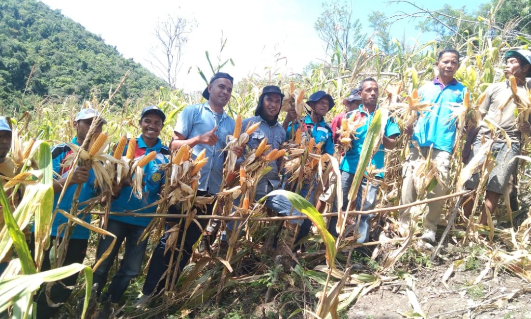 Kecamatan LAUT NTT Kembali Sumbang Lumbung Pangan Melalui Program TJPS