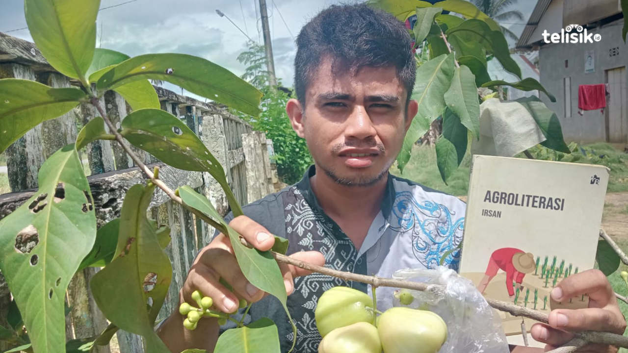 Kembangkan Budidaya Tanaman Jambu, Pemuda Ini Raih Omzet Menggiurkan