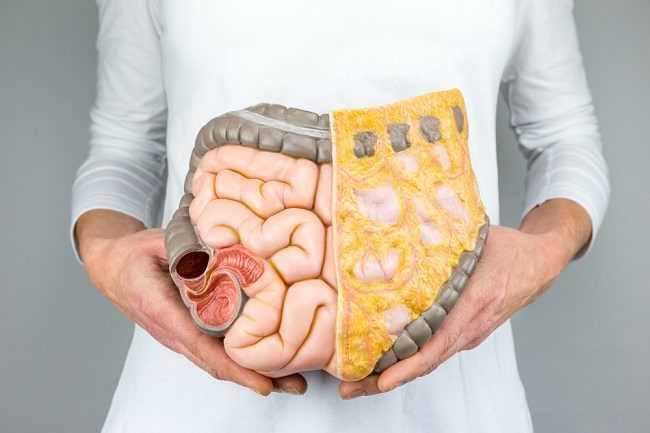 7 Cara Alami untuk Bersihkan Usus Agar Lebih Plong