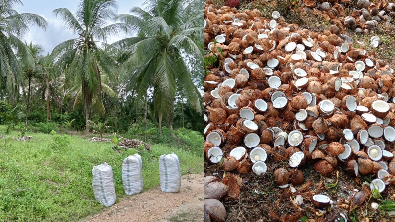 Dinas TPHP Konawe Selatan Keluarkan Strategi Hadapi Kenaikan BBM Bagi Petani