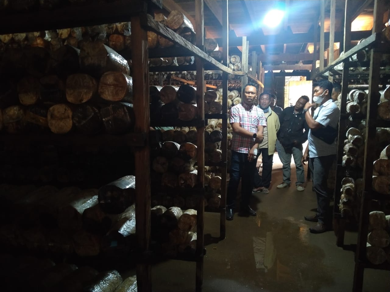 Dishut Sulawesi Tenggara Bantu Masyarakat Kembangkan Budidaya Jamur Tiram