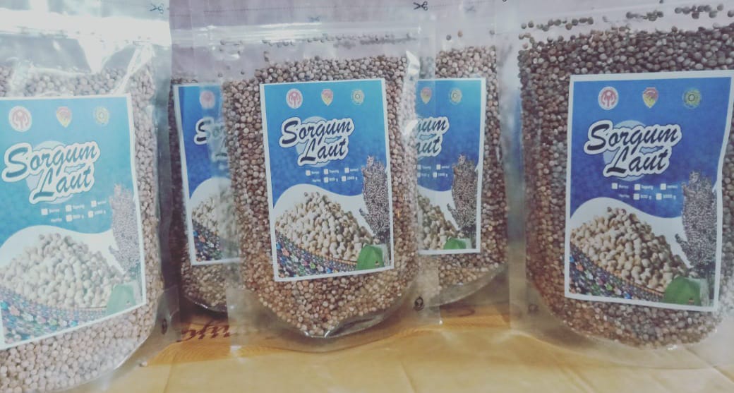 Sorgum Kecamatan Lamba Leda Utara Jajal Kota Premium Labuan Bajo