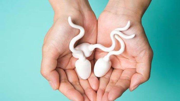 7 Makanan Ini Bisa Tingkatkan Kesuburan Pria
