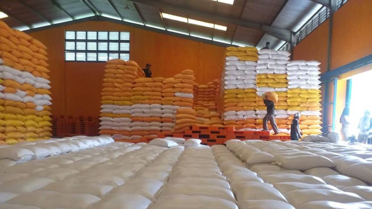 Bulog Sulawesi Tenggara Akan Serap 25 Ribu Ton Beras di Musim Panen Raya