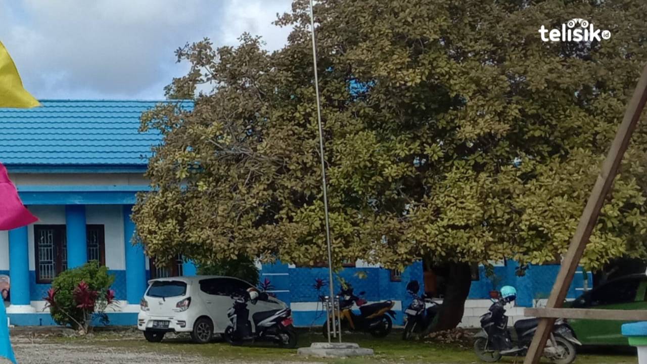 Dinas PPPA Buton Utara Tangani Belasan Kasus Kekerasan Seksual di 2022