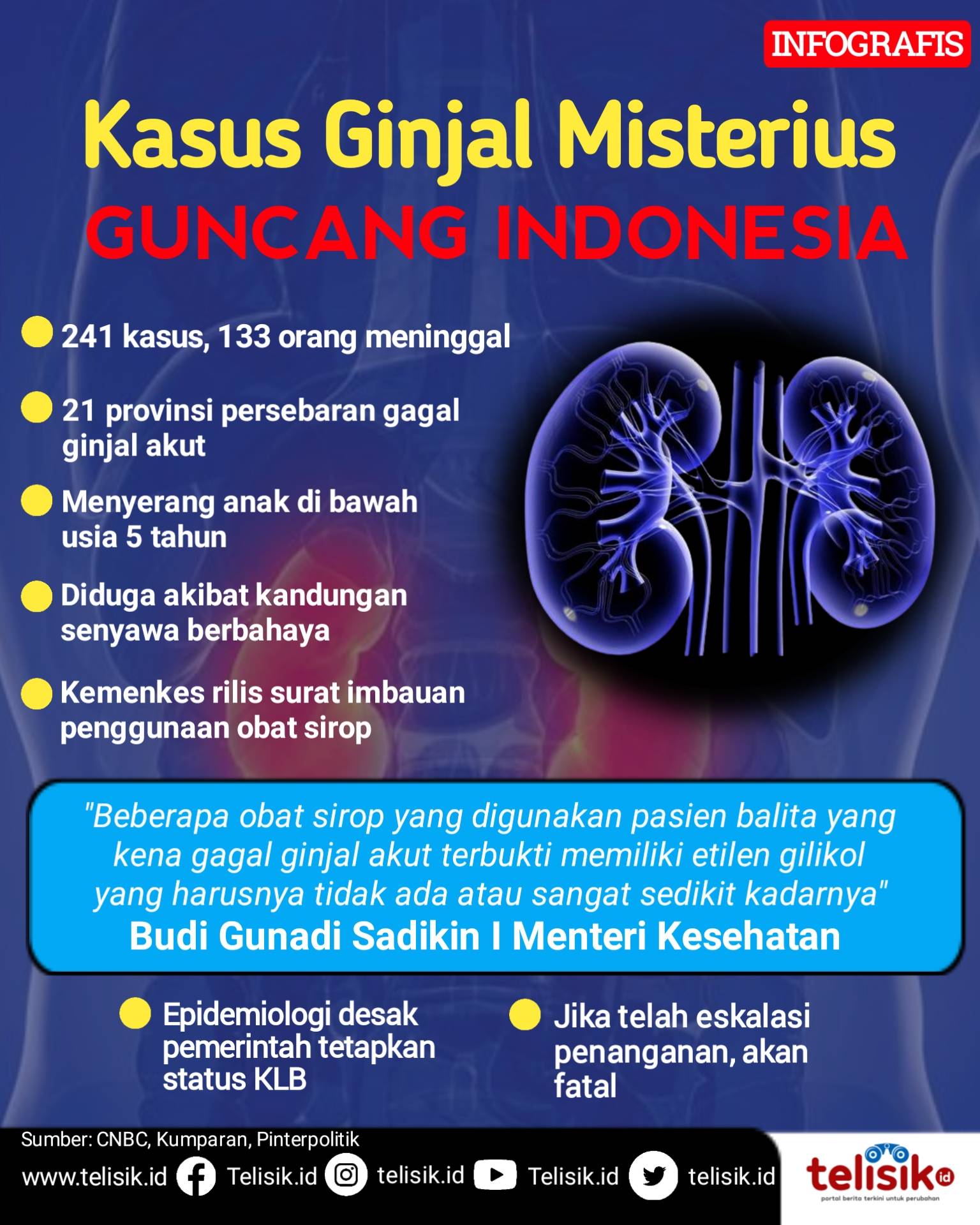 Infografis: Gagal Ginjal Akut Serang Indonesia 
